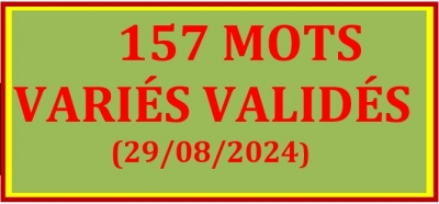 TABLEAU BILINGUE DES 157 MOTS VALIDÉS - VAITAHU - 25_29/08/2024