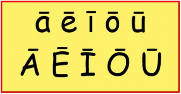 19/10/2025 : GROS PLAN SUR... 006 – Le macron (haatoko)